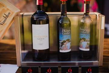 IV Cata Solidaria de Vinoteca San Juan (Foto TA)